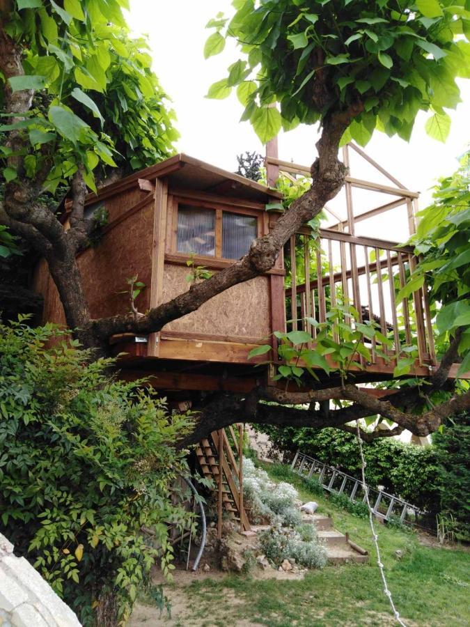 Zigos  Six Steps From The Forest מראה חיצוני תמונה