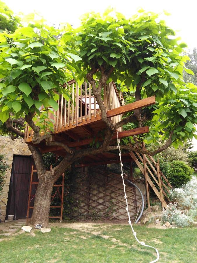 Zigos  Six Steps From The Forest מראה חיצוני תמונה