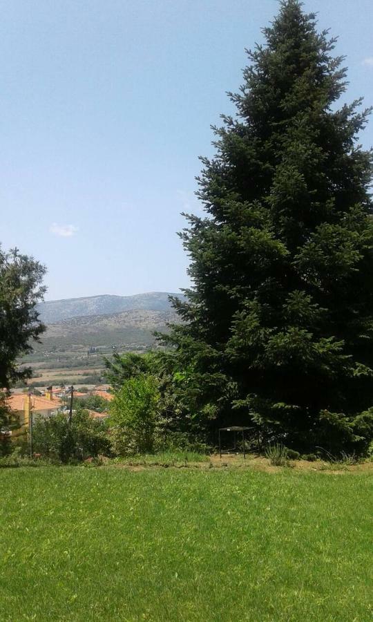Zigos  Six Steps From The Forest מראה חיצוני תמונה