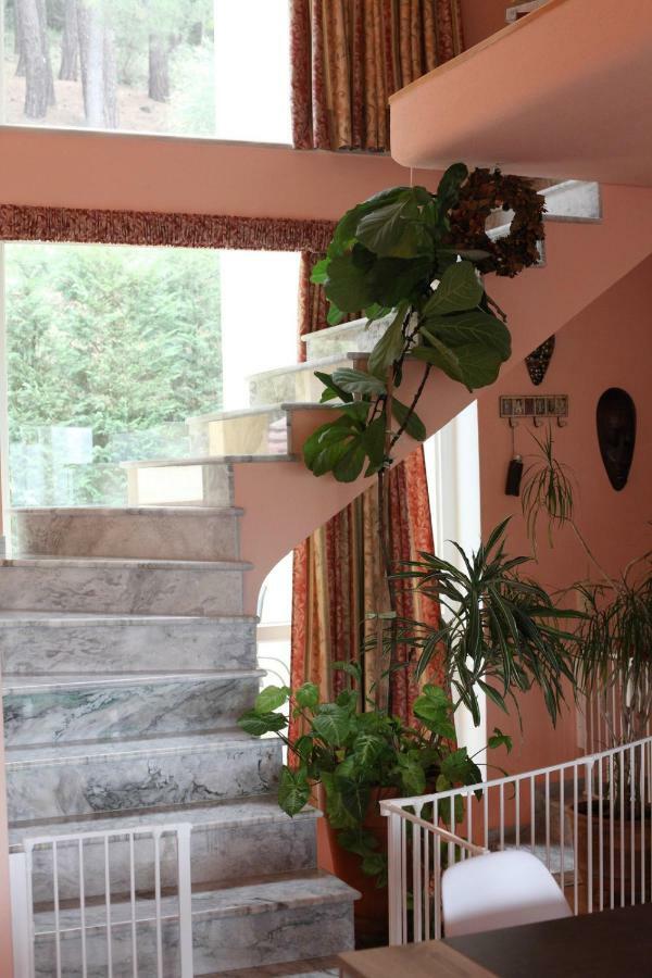 Zigos  Six Steps From The Forest מראה חיצוני תמונה