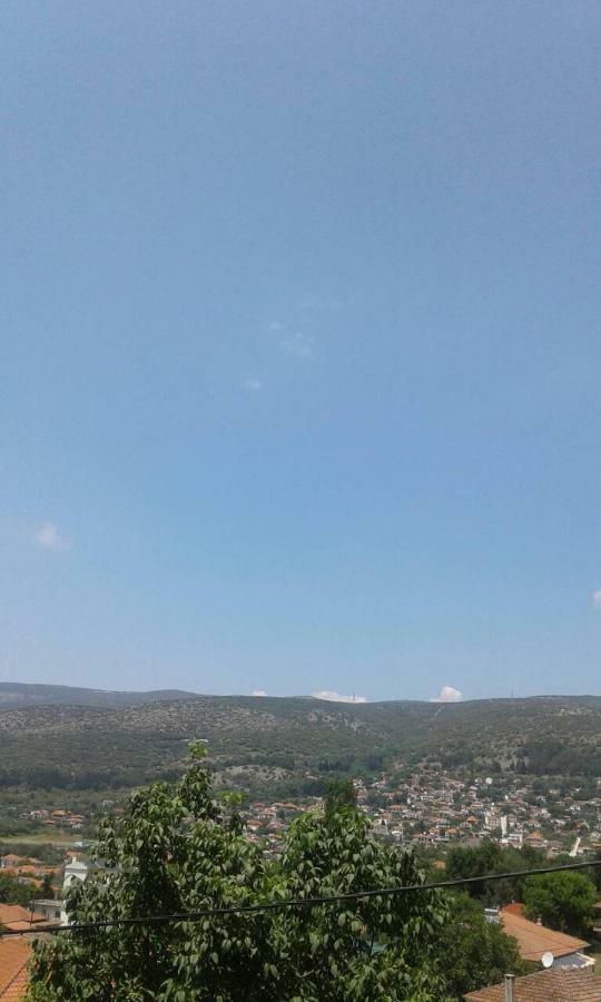 Zigos  Six Steps From The Forest מראה חיצוני תמונה