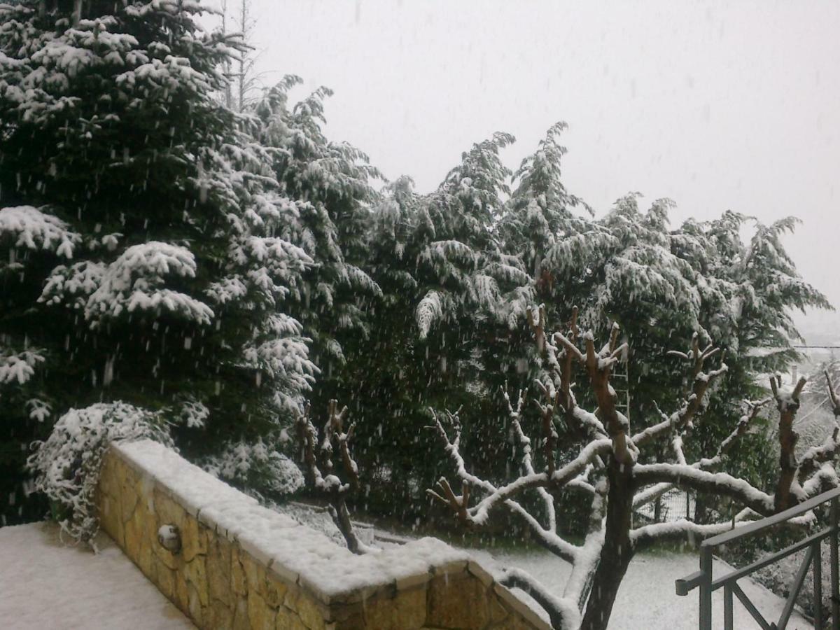 Zigos  Six Steps From The Forest מראה חיצוני תמונה